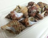 つぶ貝の☆酢味噌あえ作り方1写真