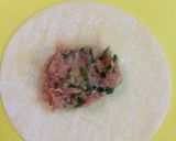 飲茶風♪行者にんにくのワンタン作り方8写真