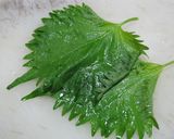 だし巻き新生姜大葉乗せ作り方10写真