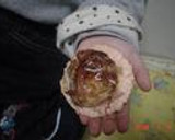 簡単　おいしい　たこ焼きせんべい作り方4写真