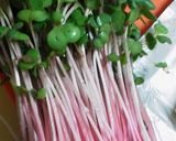☆野菜＆豚肉＆クリチの生春巻き☆　作り方2写真