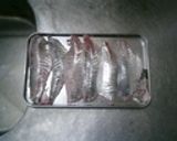 鯵の刺身作り方3写真