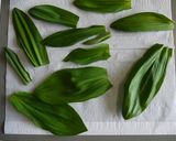 行者にんにく塩作り方1写真