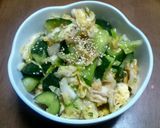 俺流！キャベツと胡瓜のさっぱり梅味噌和え作り方4写真