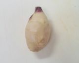 超簡単！大人向きの新生姜の炊き込みご飯作り方1写真