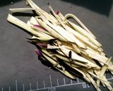 なすのちゅるちゅるソーメン作り方2写真