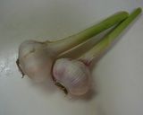 ☆15分・３材☆にんにくのバター蒸し焼き作り方1写真