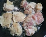 15分で手抜き唐揚げ作り方2写真