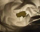 タラのホイル焼き（和風）作り方2写真