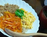彩りきれいな３色ご飯作り方11写真