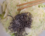 塩昆布任せの山芋たっぷりふわとろお好焼き作り方2写真