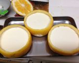 夏みかんのレアチーズケーキ作り方11写真
