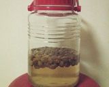 小梅でもOK(´౿`) 梅ジュース作り方8写真