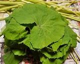 捨てないで！ 蕗の葉の佃煮作り方1写真