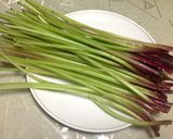 春の野草の酵素ジュース２０１３年作り方5写真