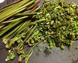 春の野草の酵素ジュース２０１３年作り方7写真