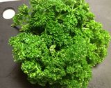 春の野草の酵素ジュース２０１３年作り方12写真