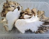 簡単一品♪豚肉と舞茸のポン酢炒め作り方1写真