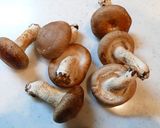 簡単！アッサリ♪焼き椎茸作り方1写真