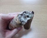 オレオスティック作り方8写真