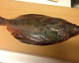 カレイの捌き方(5枚下ろし)作り方1写真