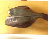 カレイの捌き方(5枚下ろし)作り方6写真