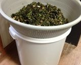 春の野草の酵素ジュース２０１３年作り方26写真