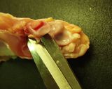 低糖質＊揚げない＊大葉入り手羽餃子風作り方5写真