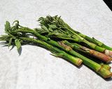 たらの芽・こごみ・こしあぶらの山菜天ぷら作り方3写真