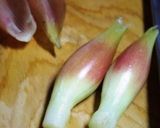 茗荷巻き寿司作り方1写真