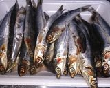 鰯の味噌煮作り方1写真