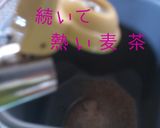 ミネラルちょっと多めグラハム粉パン作り方2写真