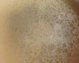 お肌ツルツル☆簡単☆濃厚鶏スープ作り方3写真