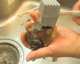 愛知の魚100選　アカニシの刺身作り方1写真