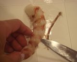 海老の下ごしらえ / 天ぷら作り方4写真