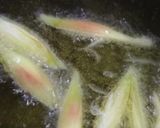 茗荷巻き寿司作り方7写真