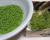 実山椒の佃煮作り方2写真
