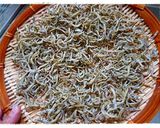 小女子と実山椒の炊いたんの作り方1写真