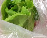 葉物野菜の簡単長持ち保存方法作り方1写真