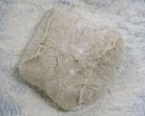 こねない♪小麦ふすま入りカンパーニュ作り方7写真