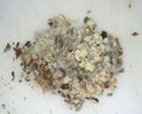 子持ち炒飯作り方1写真