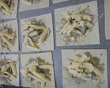 簡単♪ワンタンの皮でしらすチーズ焼き作り方3写真