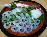 アオリイカの海苔巻きお造り作り方11写真