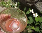 ユスラウメのジュースとジャム作り方3写真