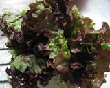 クラゲ酢の物野菜サラダ作り方4写真
