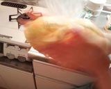 キャベツとニンジンの浅漬け作り方7写真