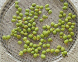 実さんしょうの佃煮作り方1写真