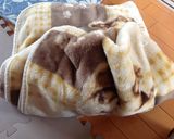 失敗しない！？梅の甘露煮☆コンポート作り方4写真
