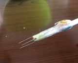 失敗しない！？梅の甘露煮☆コンポート作り方9写真