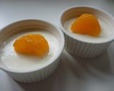 ヨーグルトゼリー作り方6写真